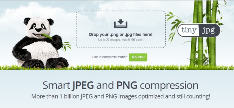 Screenshot of the TinyJPG homepage featuring a panda mascot and file upload box.